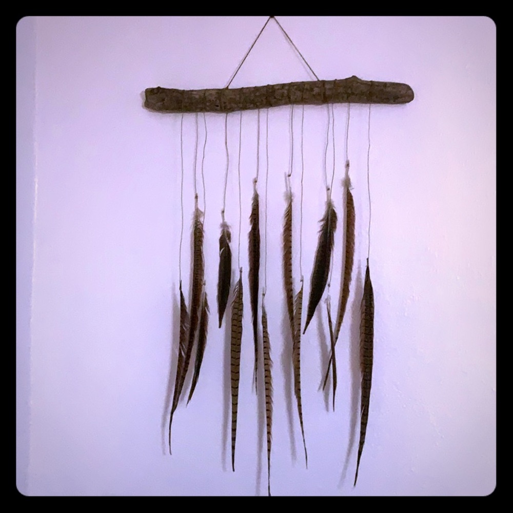 One of a kind authentic feather wall art